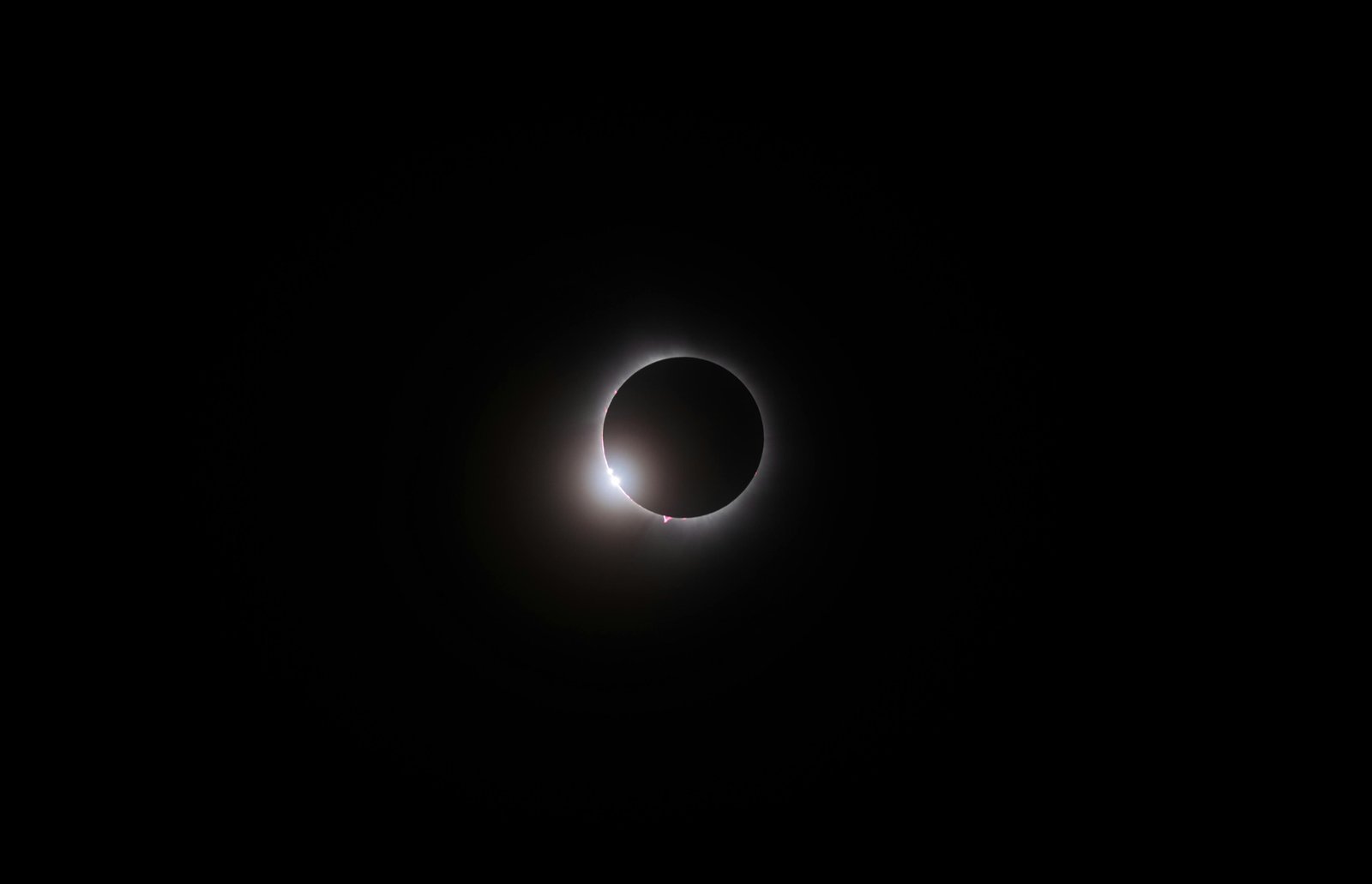 Award-winning photograph 10