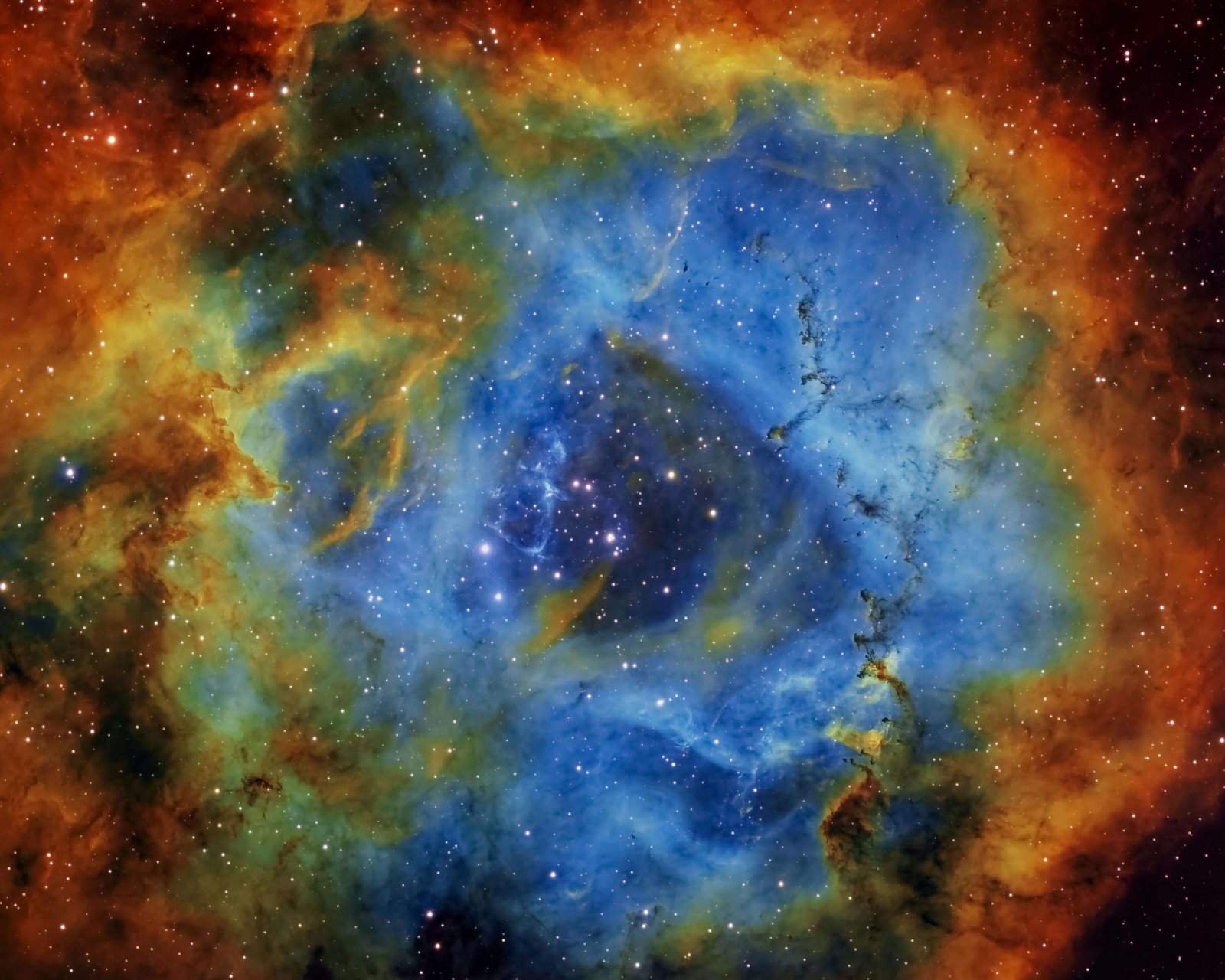 Award-winning photograph 1
